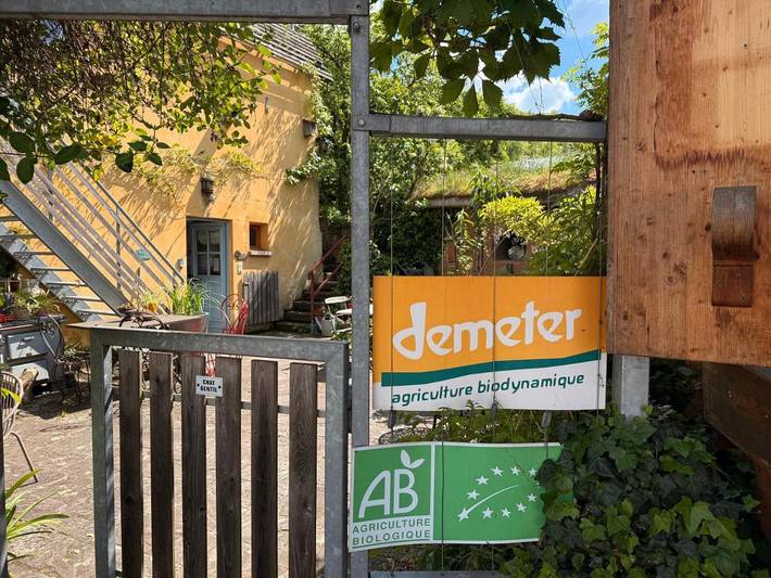 Chambre d’hôte pour 2 personnes, avec Terrasse et Jardin ainsi que Sauna et Vue à Katzenthal