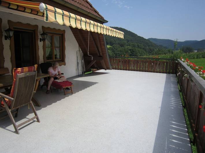Ferienwohnung mit 1 Schlafzimmer in Seelbach, Mittlerer Schwarzwald