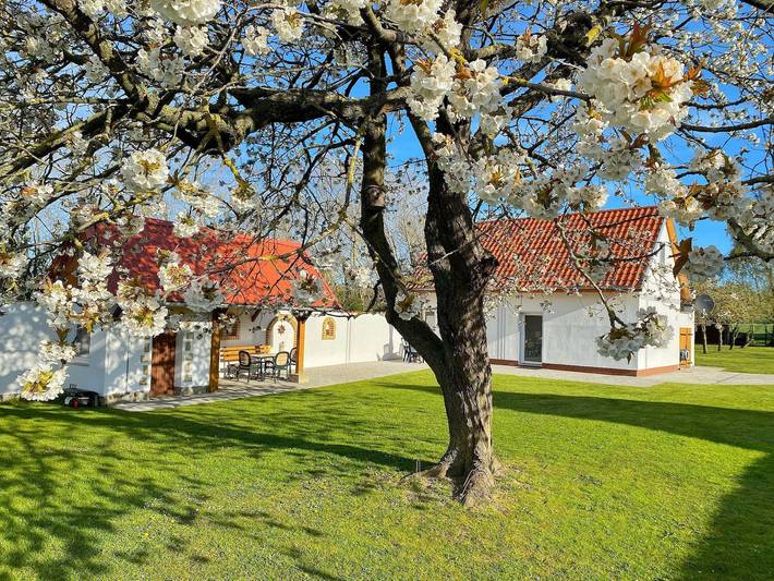 Ferienhaus für 4 Personen, mit Terrasse und Garten in Sassnitz