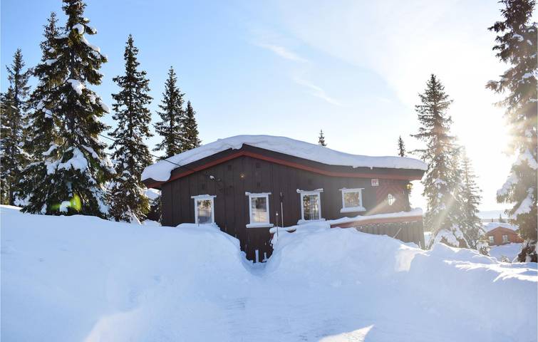 Ferienhaus für 8 Personen in Sjusjoen, Ringsaker