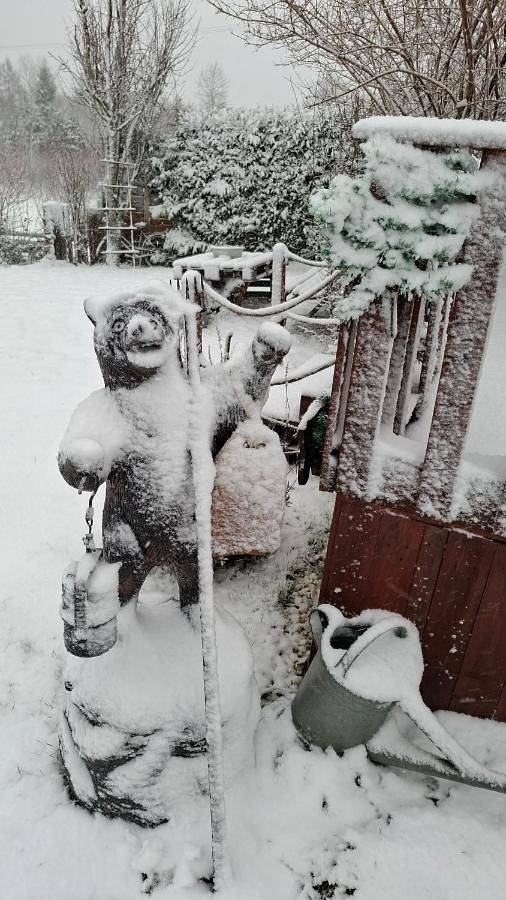 Gîte pour 2 personnes, avec vue ainsi que terrasse et jardin, animaux acceptés à La Bourgonce - 4