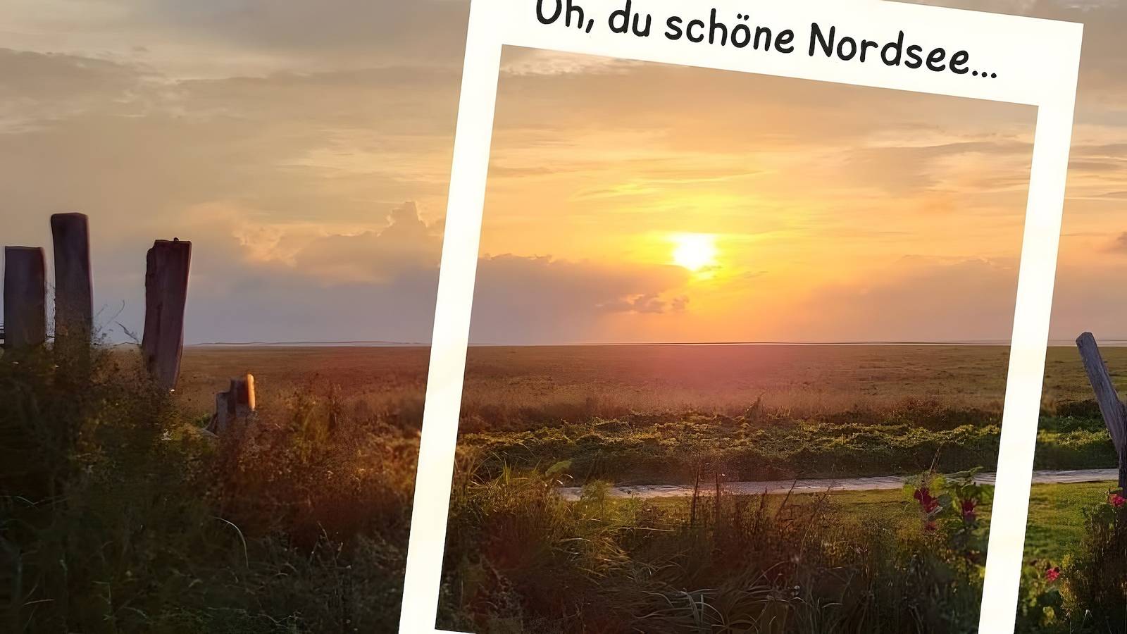 Ganze Wohnung, Apartment für 5 Personen, 100 m², mit Wlan in Wiarden, Wangerland