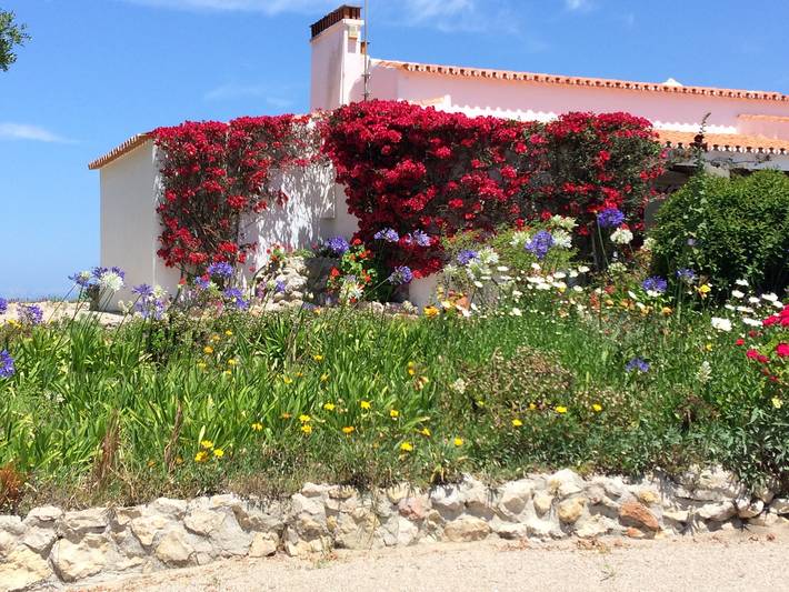 Ferienhaus mit Meerblick für 6 Personen, mit Garten in Portugal - 2