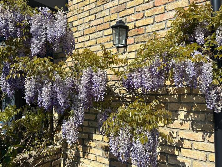 Gîte pour 2 personnes à Hames-Boucres - 3