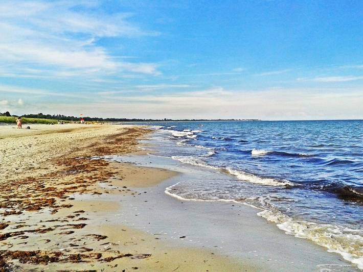 Ferienhaus für 10 Personen, mit Sauna und Garten sowie Terrasse, mit Haustier in Marielyst - 4