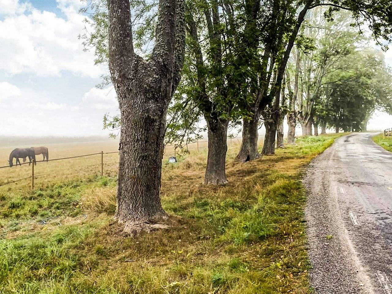 4 personer fritidhus i Adelsö in Adelsö, Mälaren