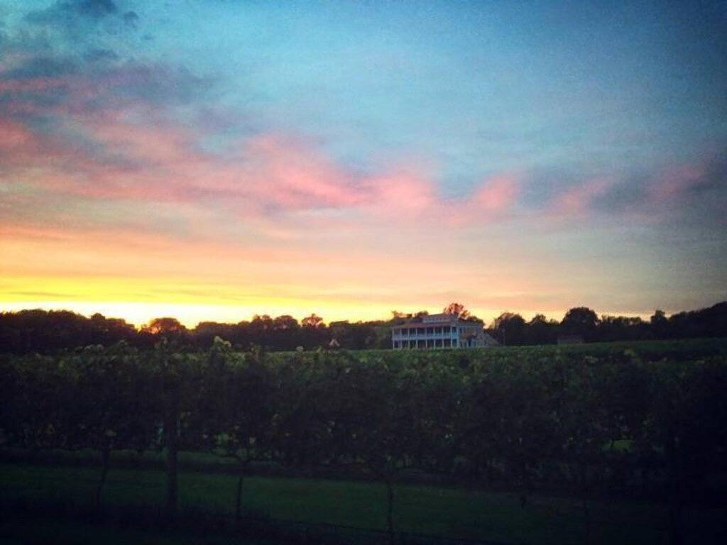 Einzigartige Beach Cottage - Vineyard Vista - in West Cape May, Cape May County