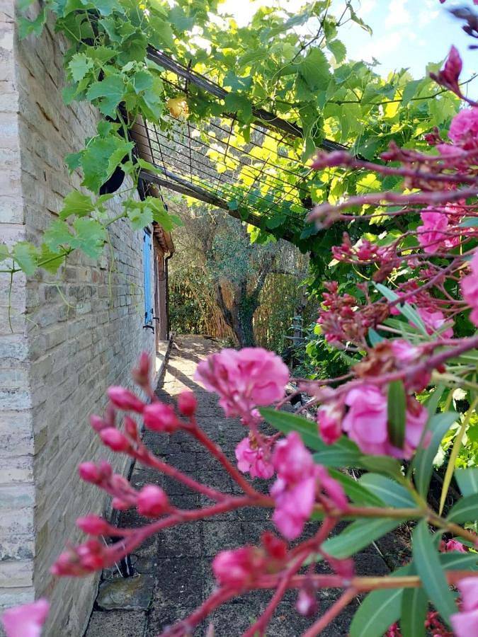 Location de vacances pour 4 personnes, avec Terrasse ainsi que Jardin et Vue à Petritoli - 4