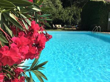 Maison d’hôte pour 2 personnes, avec terrasse et piscine à La Garde-Freinet