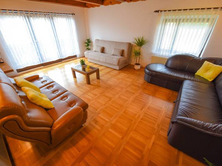 Location de vacances pour 16 personnes, avec terrasse, adapté aux familles dans Brežice - 4