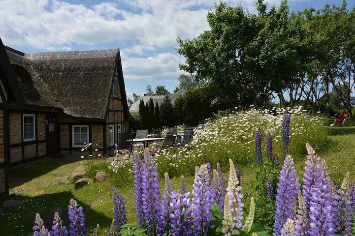 Cottage für 4 Personen, mit Garten und Terrasse in Middelhagen