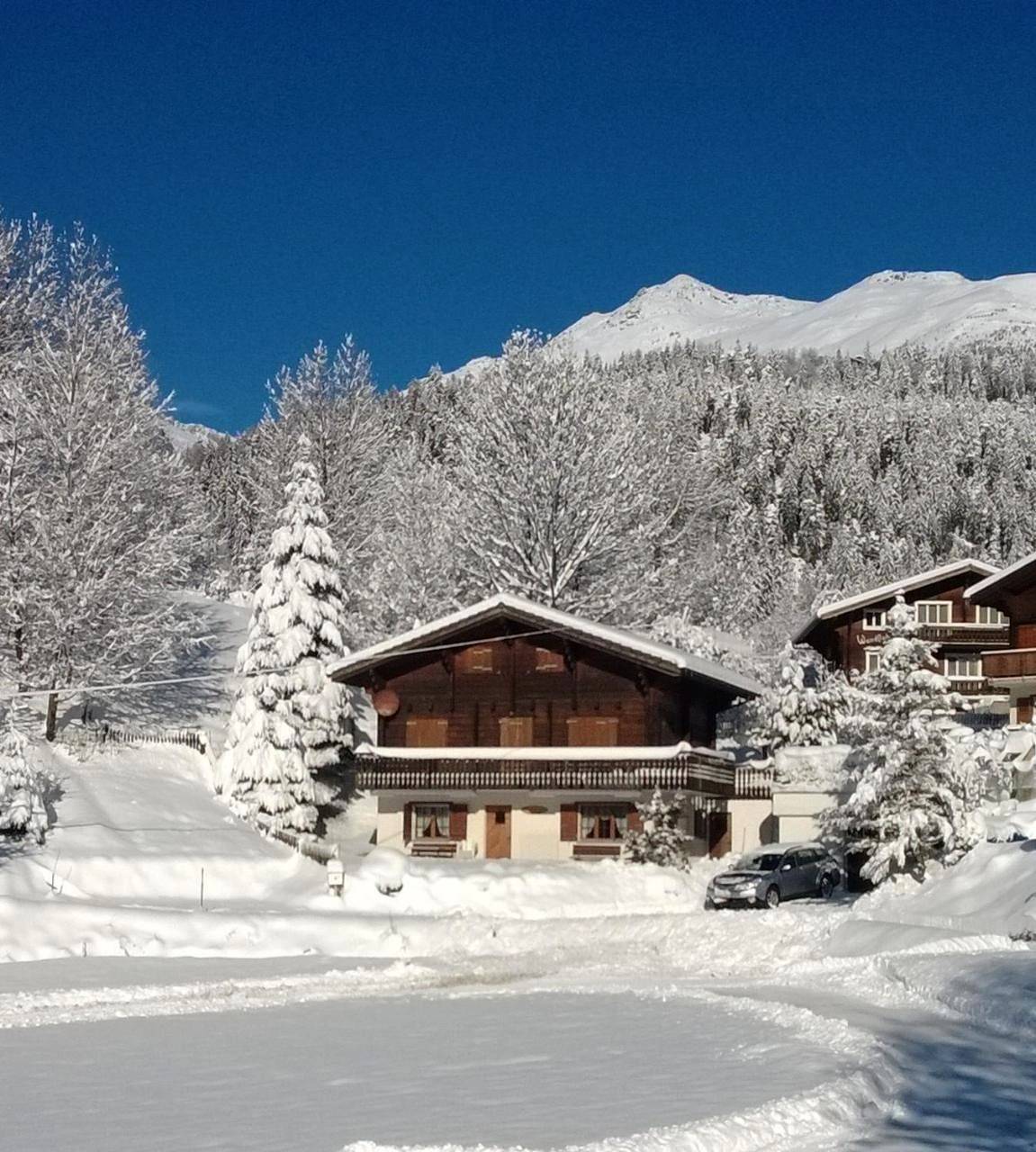 Ganze Wohnung, Apartment - Ground Floor in Ernen, Aletsch Arena