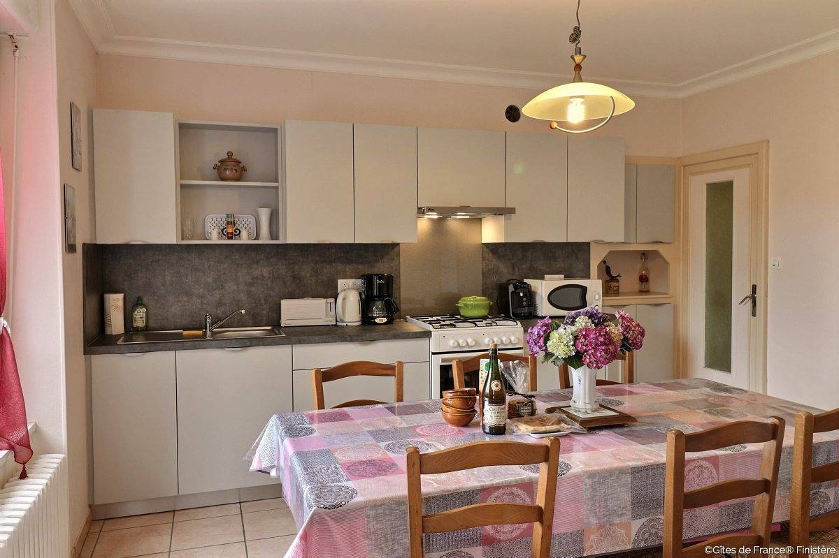 Les genêts in Plozévet, Region de Quimper