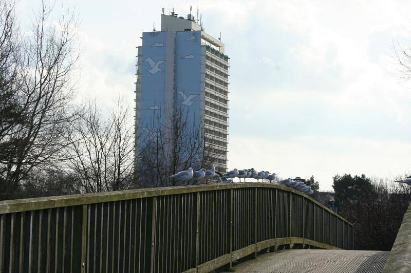 Ganzes Studio, Appartement K112 in Holm, Schönberg