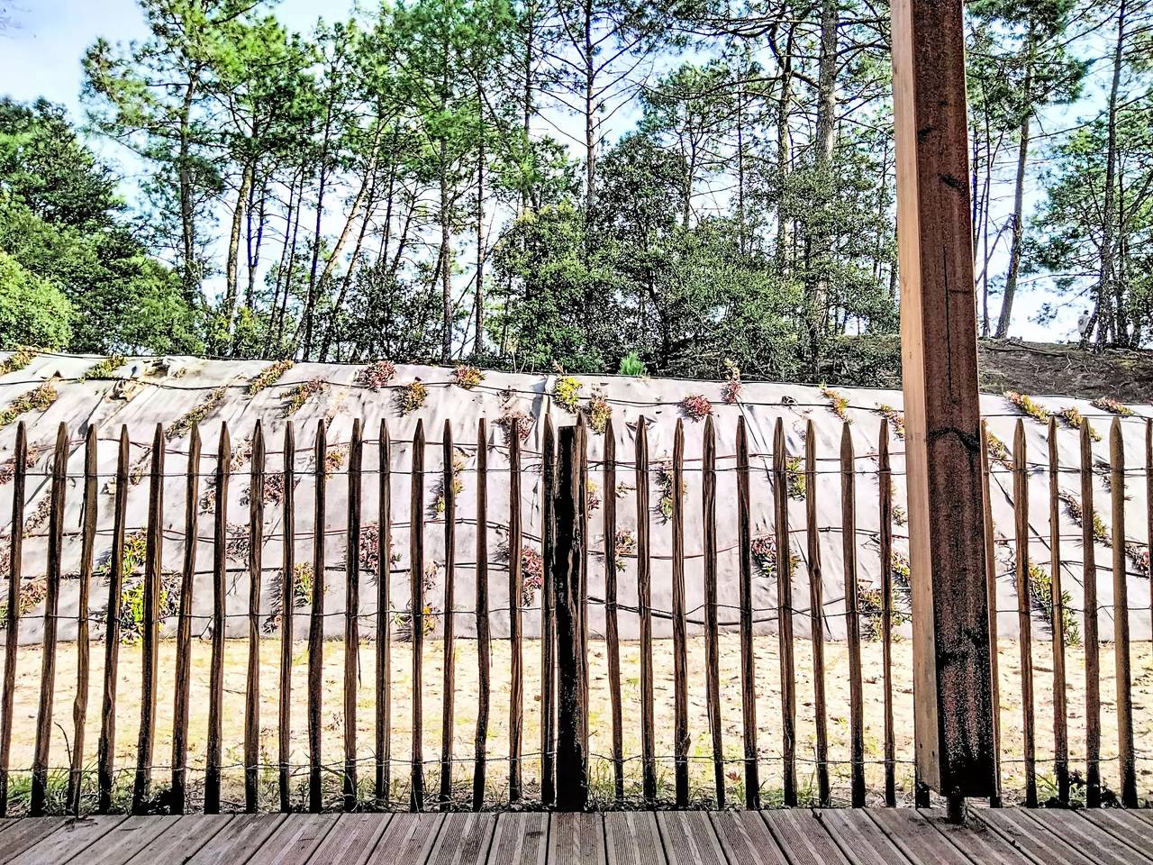 Apartamento entero, 2 estancias 4 Personas in Maubuisson, Carcans