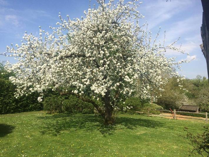 Location de vacances pour 2 personnes, avec jardin et vue dans la Province du Brabant wallon - 4