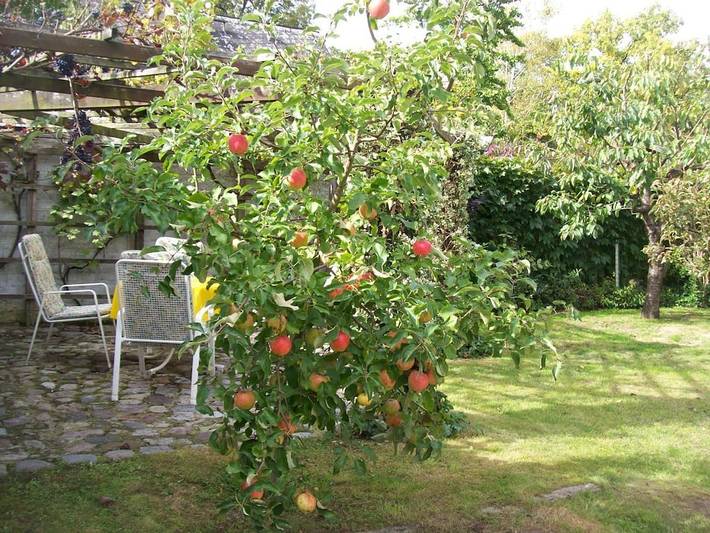 Ferienhaus für 4 Personen, mit Garten und Sauna in Steglitz-Zehlendorf - 2