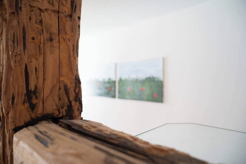 Ganze Wohnung, L'écrin de Barr- City center in Barr, Region Sélestat-Erstein