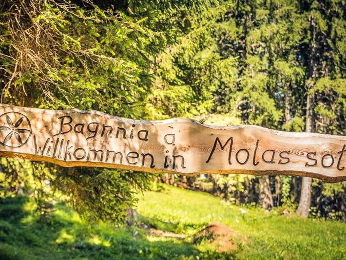 Ganze Ferienwohnung, Maiensäss Molas Sot - Maiensäss-Stall in Mon (Albula), Albula (Graubünden)