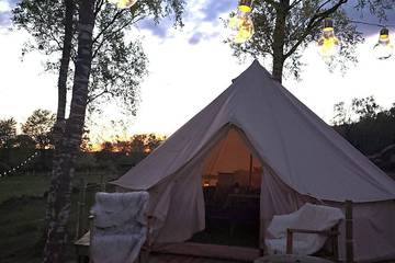 Camping für 2 Personen in Halland, Südschweden, Bild 3