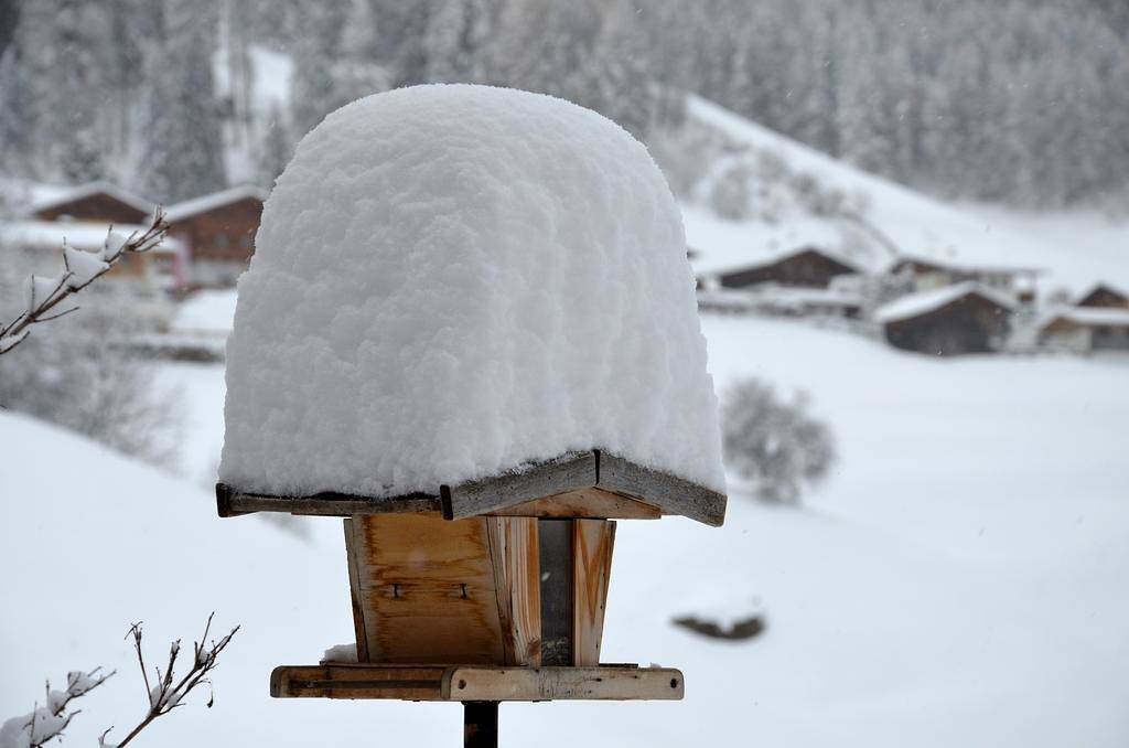 Apartamento vacacional entero, Ferienwohnung Maria in Stubai Alps, Neder
