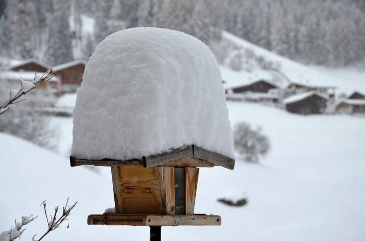 Ferienwohnung für 5 Personen, mit Terrasse und Garten in Neustift im Stubaital - 3