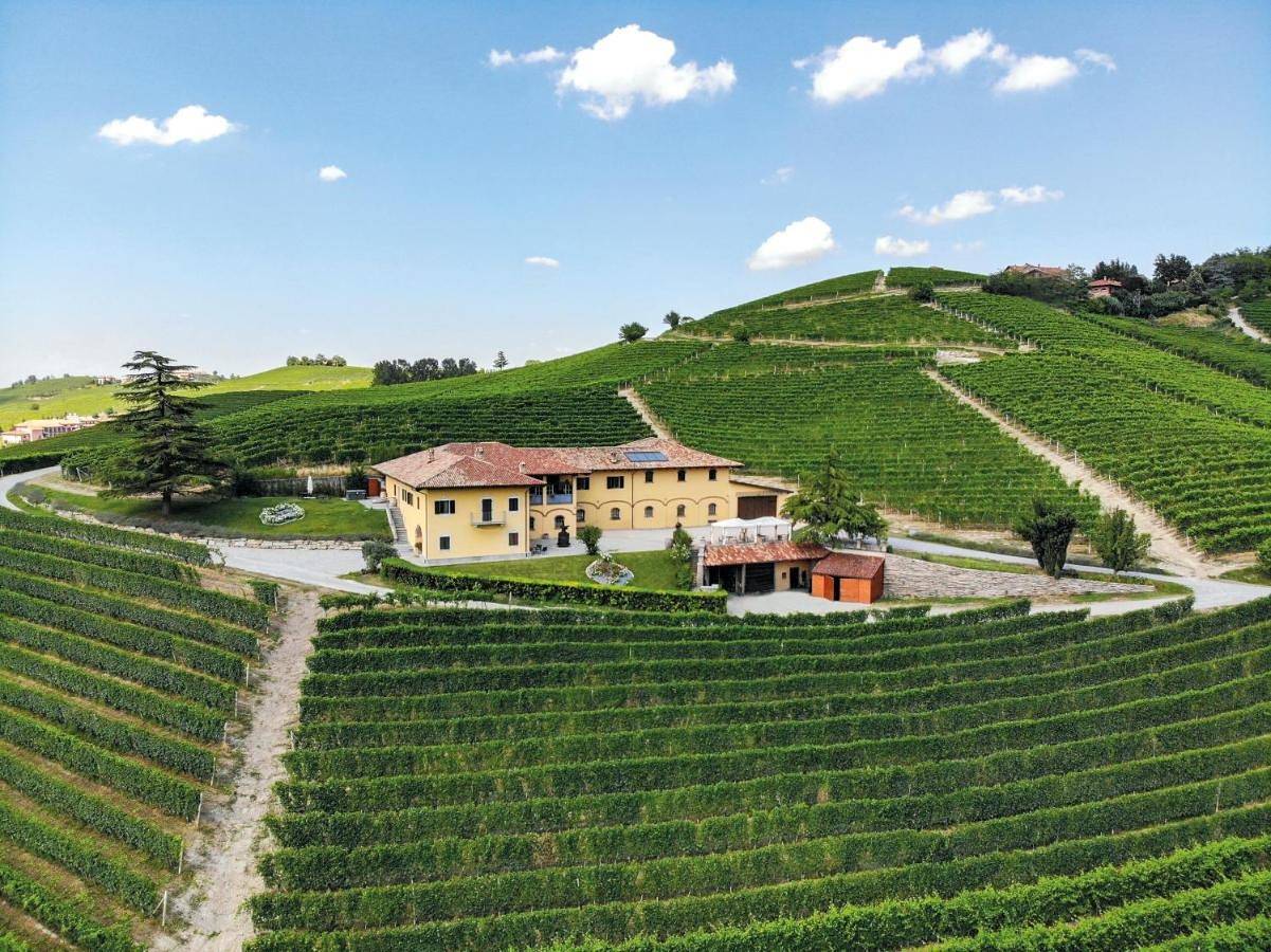 Costa di Bussia in Monforte d'Alba, Langhe