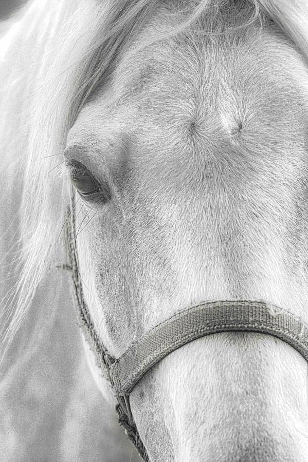 Gîte pour 2 personnes, avec vue ainsi que jardin et terrasse dans Bac du sauvage - 3