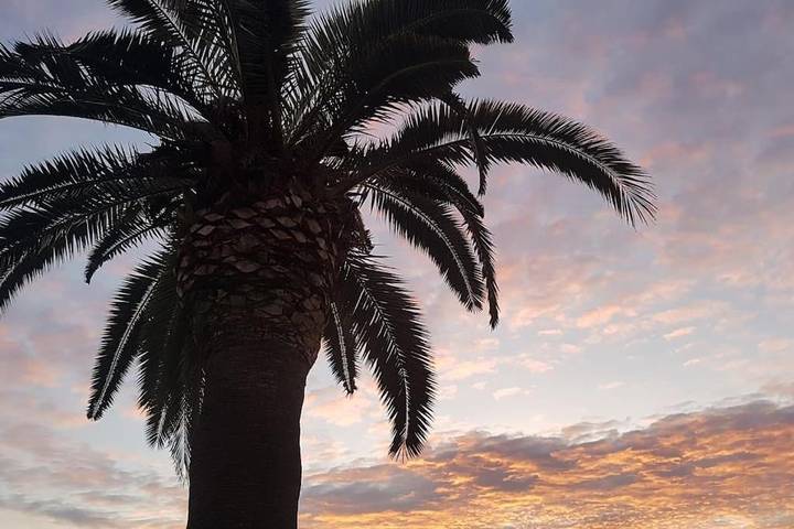 Villa pour 8 personnes, avec jardin et piscine à Torrevieja - 4