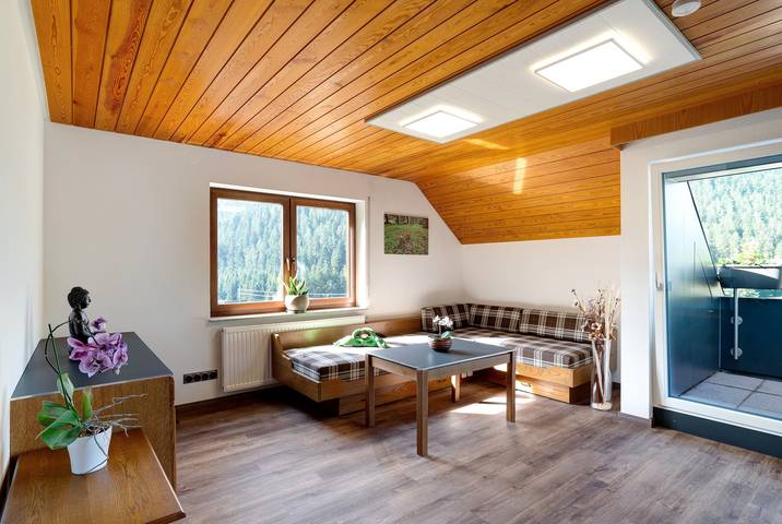 Ferienwohnung für 4 Personen, mit Garten und Sauna - 1