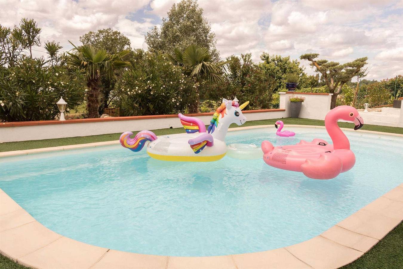 Emeraude et Terracotta in Lagardelle-sur-Lèze, Haute-Garonne