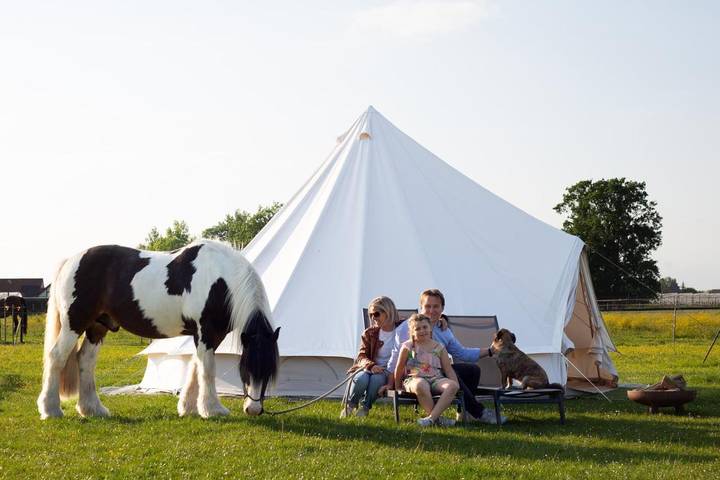 Camping voor 4 personen in Belgisch-Limburg