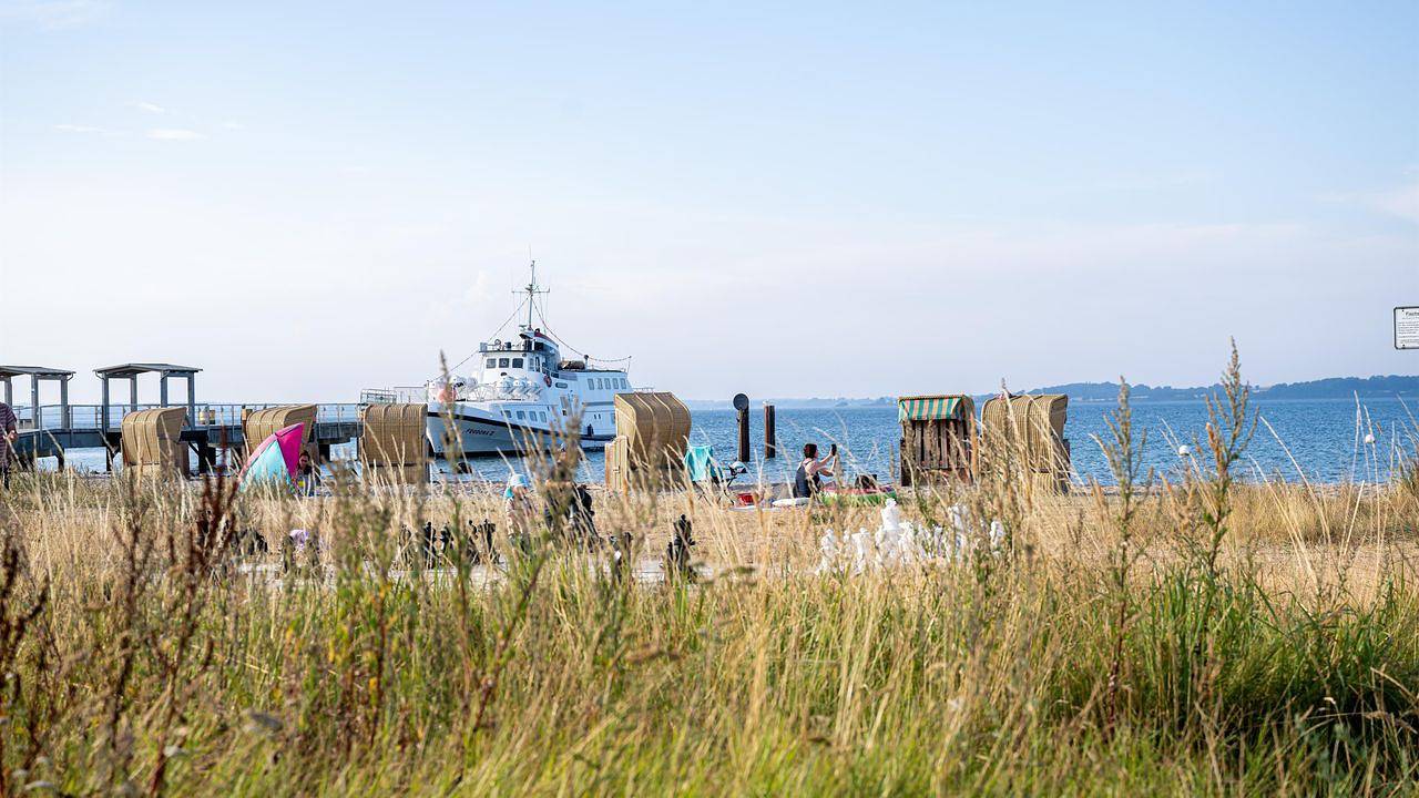 Ganze Ferienwohnung, Ferienwohnung für 4 Personen (70 m²) in Dollerup in Dollerup, Schleswig-Flensburg