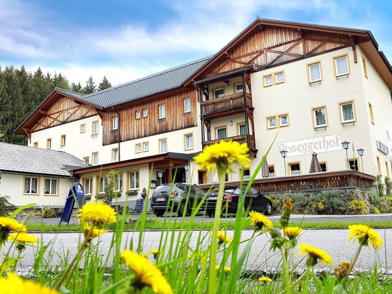 Gasthof - Pension Roseggerhof - Einzelzimmer in St. Kathrein am Hauenstein, Steirerland
