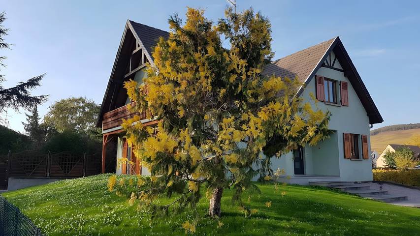 Gîte pour 8 personnes, avec jacuzzi et jardin, adapté aux familles