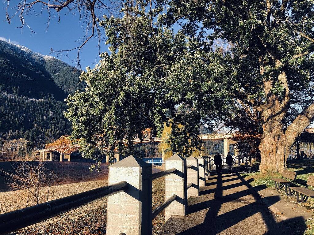 Ganze Wohnung, Mistiso Place Ferienwohnungen -Kokanee Suite in Nelson, Whitewater Ski Resort