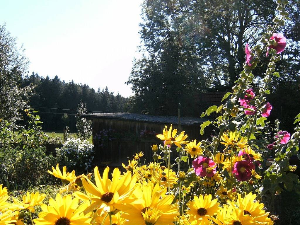 Ober-Kaltenbronnhof in St. Georgen, Mittlerer Schwarzwald