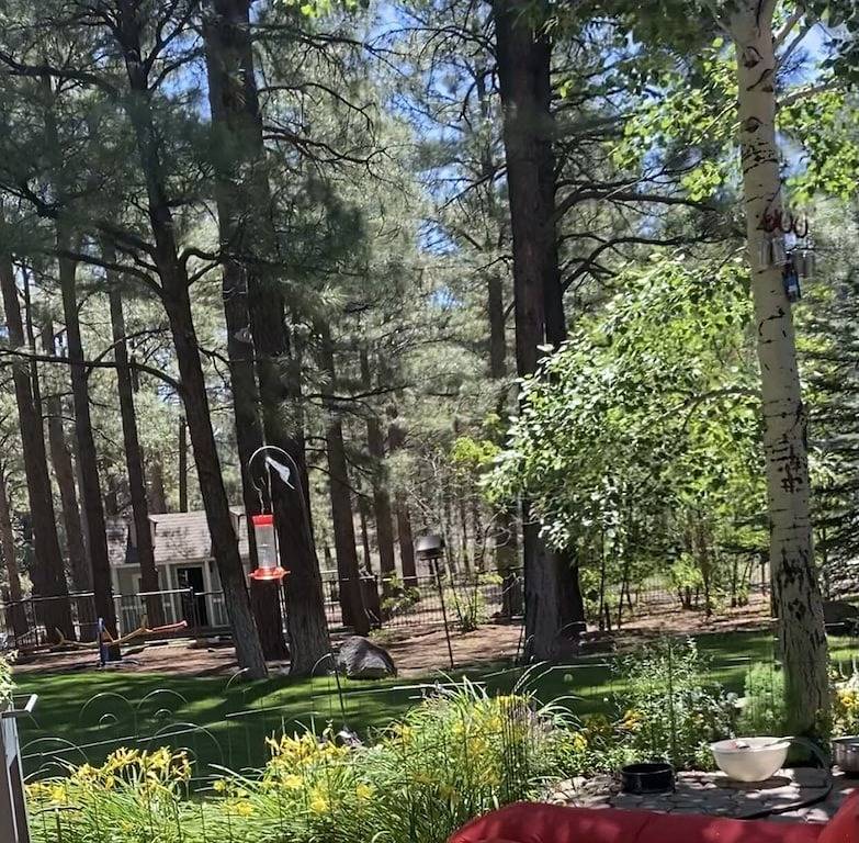 Lux Cabin on 6 beautiful acres. Close to Snowbowl/Fireplace/Large groups welcome in Coconino Nationalwald