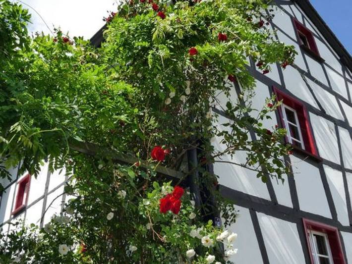 Ferienhaus für 8 Personen, mit Terrasse und Garten sowie Ausblick und Seeblick in Simmerath
