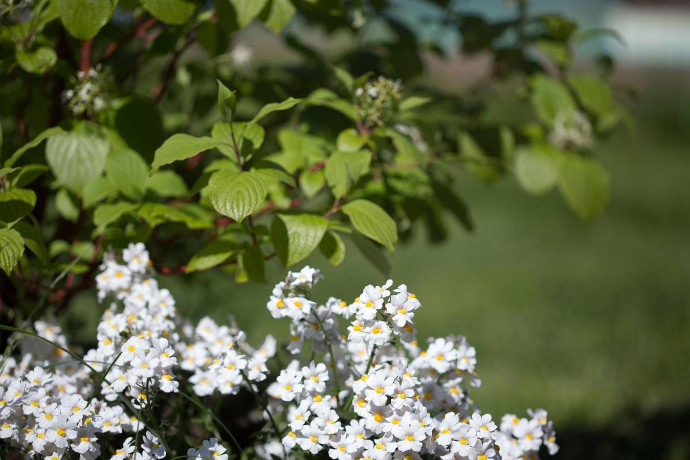 Ganze Wohnung, Ferienwohnung 'Rosalie 3' mit Bergblick, Gemeinschaftspool und Wi-Fi in Niederlana, Lana