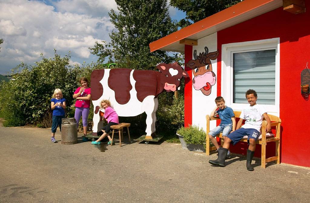 Ferienhof Schlag - Ferienwohnung Nestgeflüster (45qm) mit Balkon in Hocha, Waldmünchen