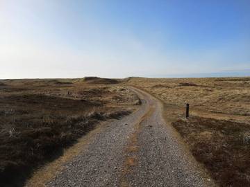 Ferieudlejning til 5 Personer i Lild Strand, Nordwestjütland, Billede 4