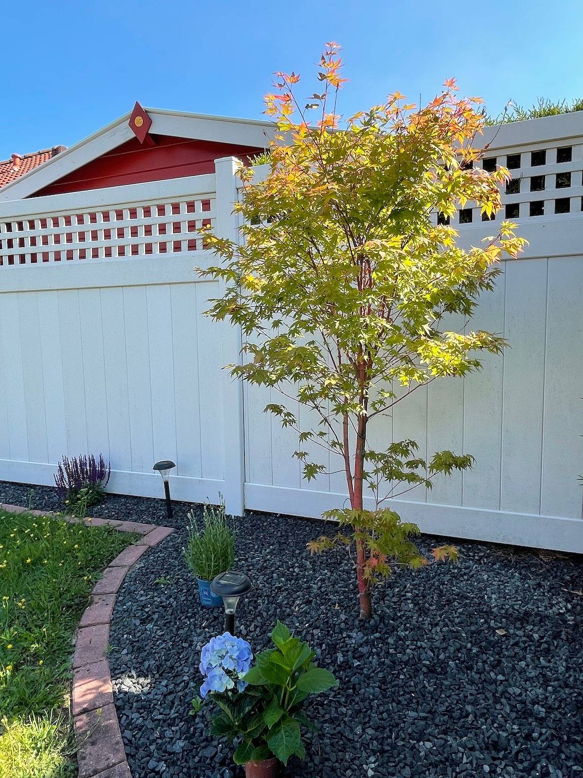 Haus Colonia in Walchum, Emsland