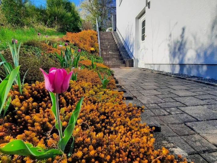 Ferienhaus für 4 Personen, mit Garten und Terrasse, mit Haustier im Saarland - 3