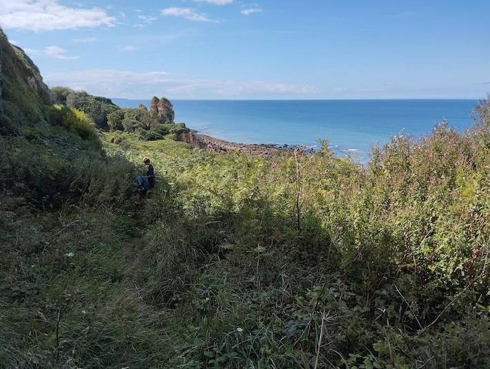 Gîte pour 7 personnes, avec jardin et vue à Longues-sur-Mer
