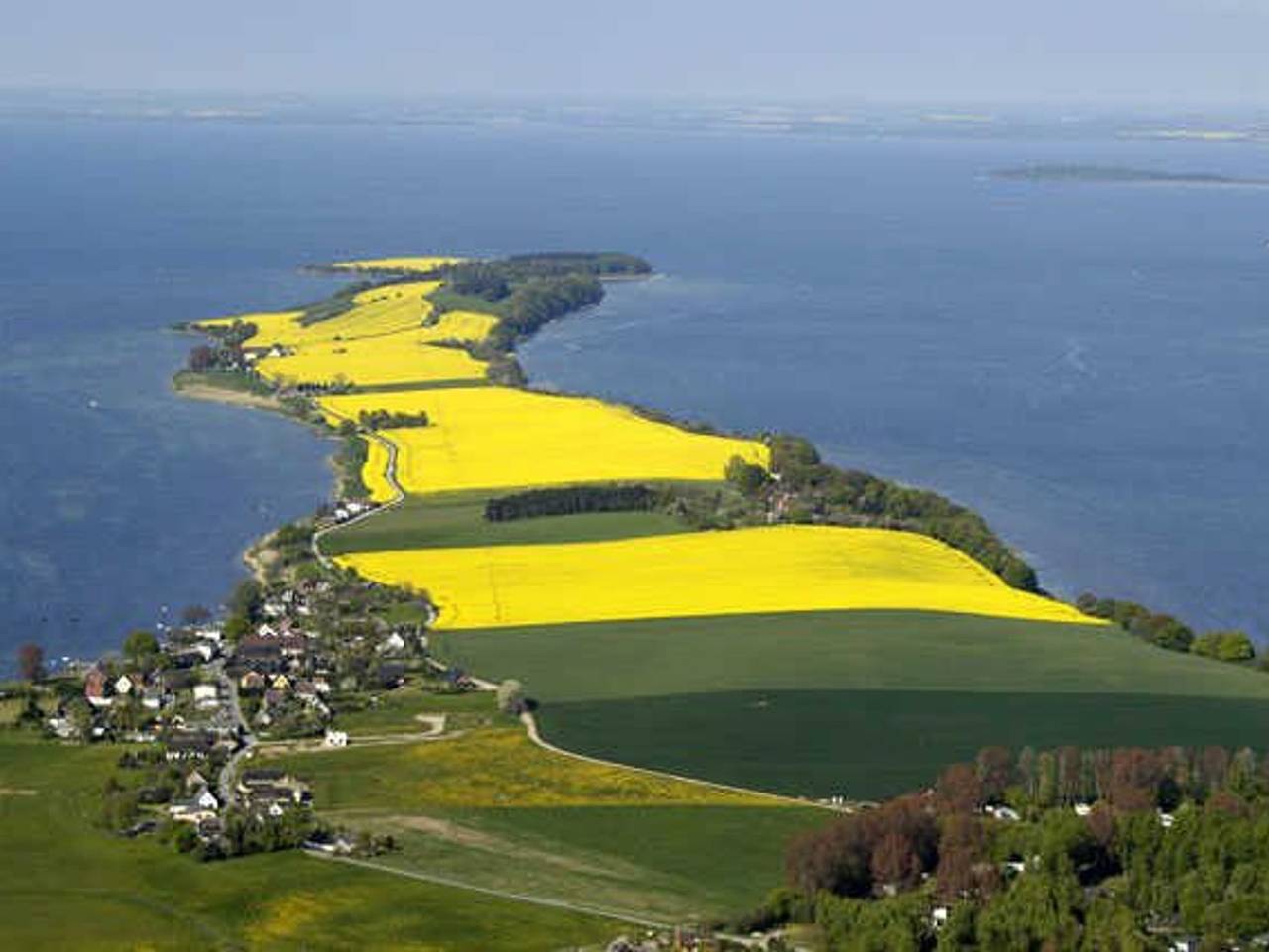 Ganze Ferienwohnung, Karolas Landhus unterm Reetdach in Alt Reddevitz, Mönchgut