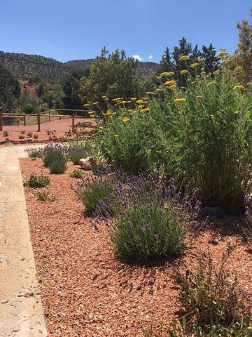 Bed And Breakfasts for 4 Guests in Kanab, Grand Canyon National Park, Picture 4