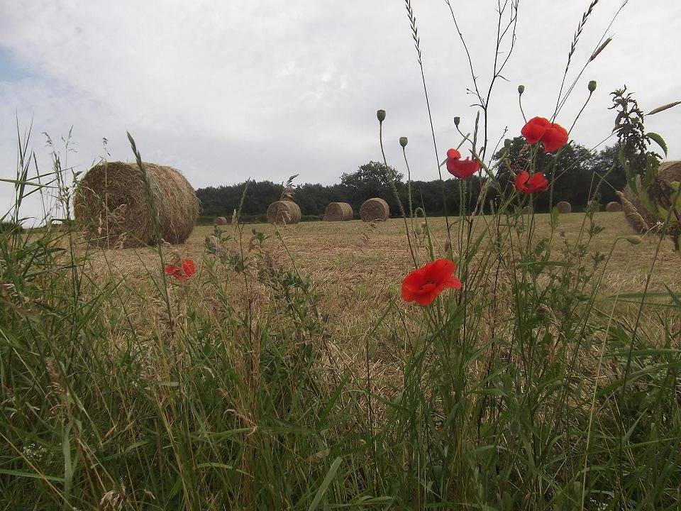 Gîte für 5 Personen mit Garten in Genouilly, Region Chalon-sur-Saône