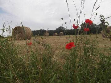 Gîte pour 5 Personnes dans Genouilly, Région de Chalon-sur-Saône, Photo 3