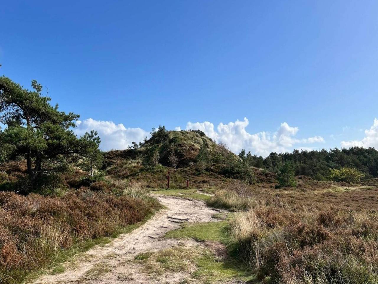 Luxus-Ruckzug in Toftum -- By Traum Ferienwohnungen in Toftum, Rømø